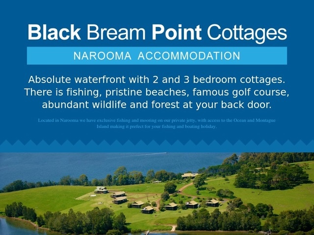 http://blackbreampoint.com/
