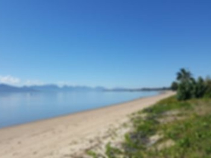 http://www.cardwellbeachcomber.com.au/