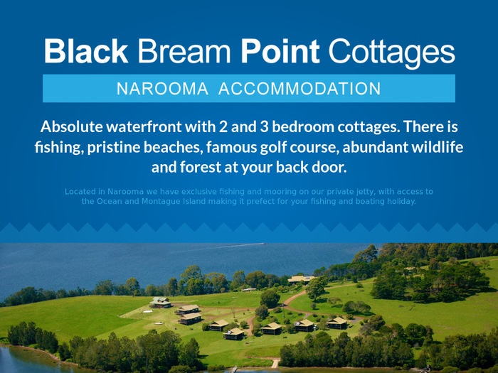 http://blackbreampoint.com/