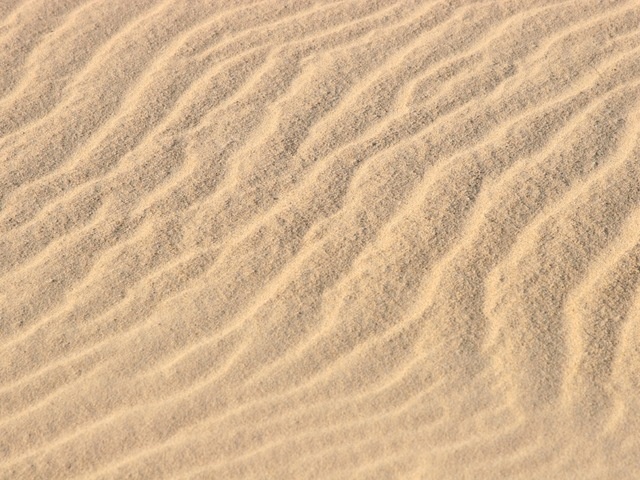http://www.almontapark.com